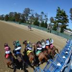 ABR Sunday Selections: Full-Card Picks for Oct. 26 from Belmont at the Big A